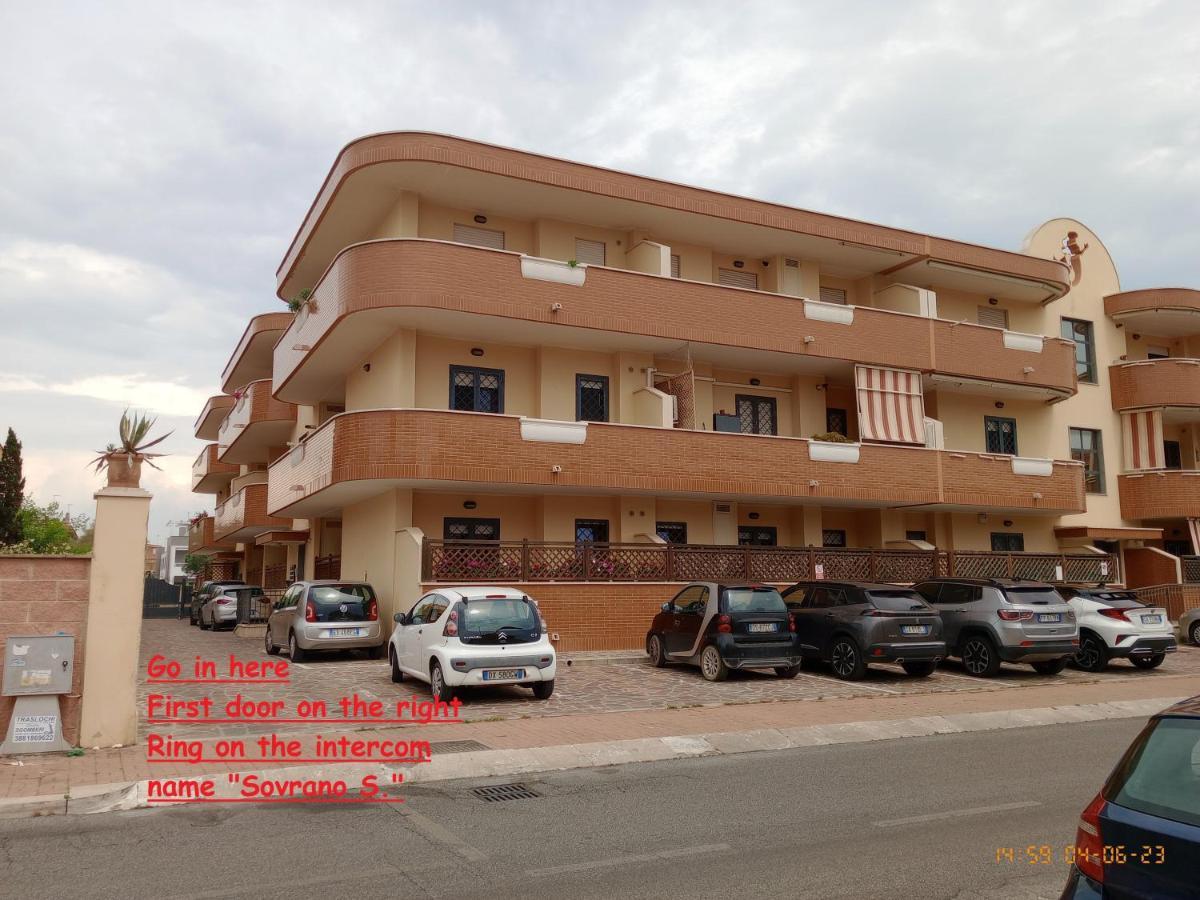 Summer&Winter Home By The Sea Fiumicino Exterior photo